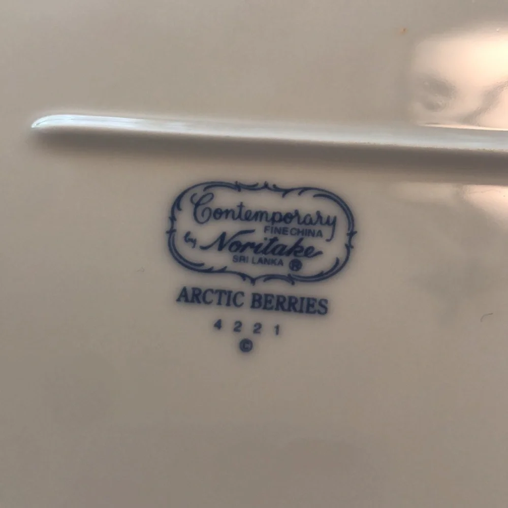 Noritake Arctic Berries Serving Platter